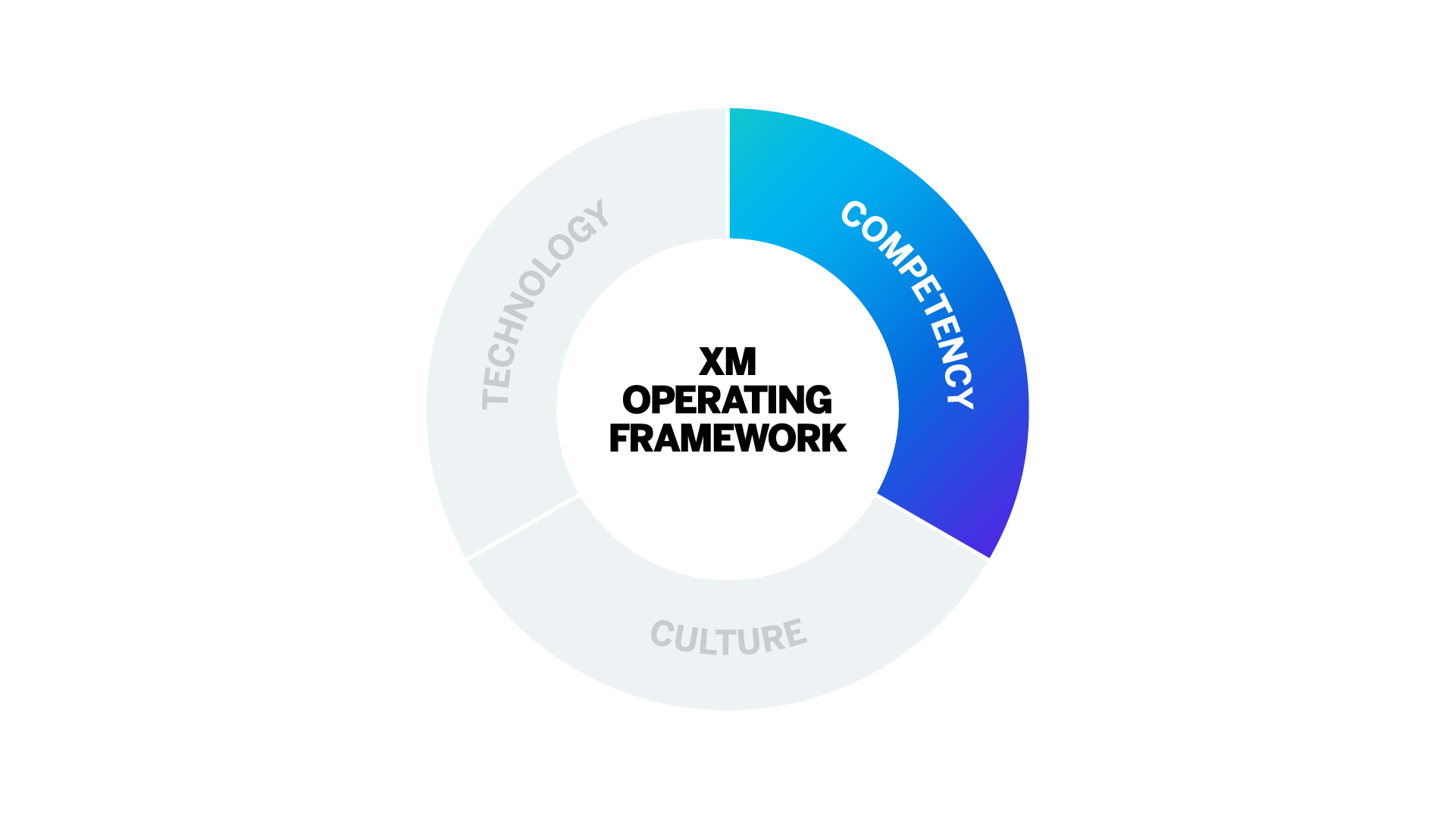 X107-2_4_XM_Operating_Framework_Competency.png