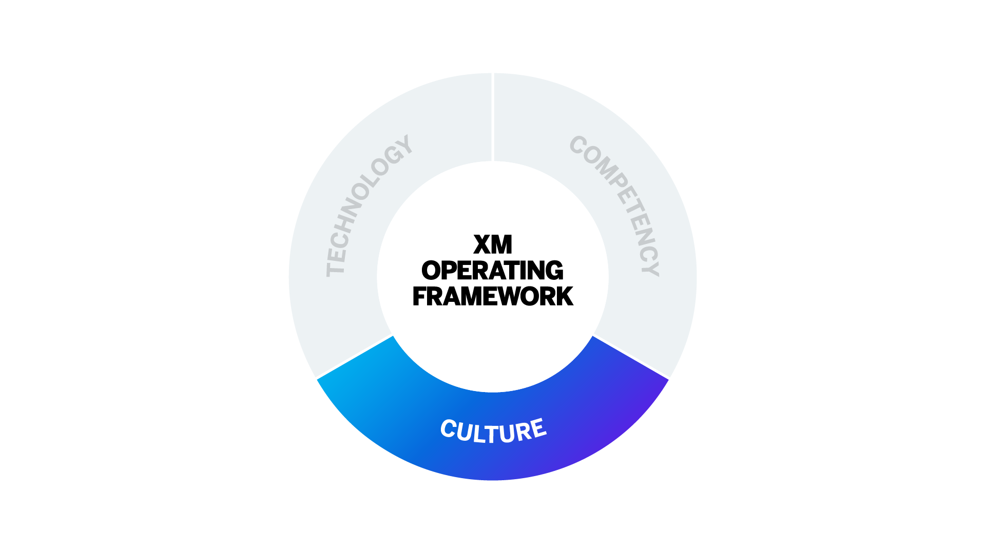 X107-2_5_XM_Operating_Framework_Culture.png